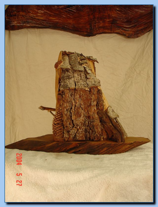 2-19 bird house with pine cones-archive-0007